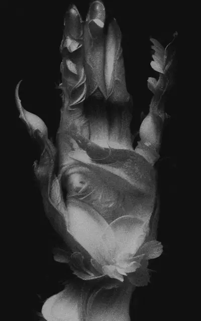 Time to bloom by Iv Solyaev