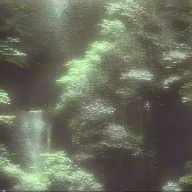 creek behind the house by noper