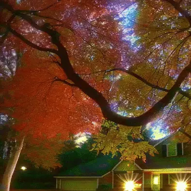 house sitting in its own thought by noper