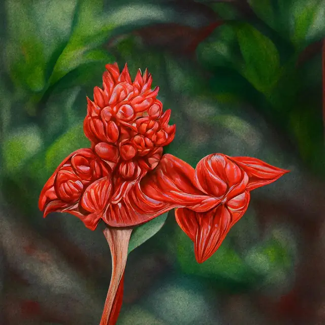 Parakaempferia Synantha by Sofia Crespo