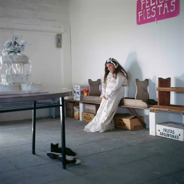 The Black Cat by Alessandra Sanguinetti