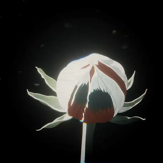 Flowers #3 by Panaviscope