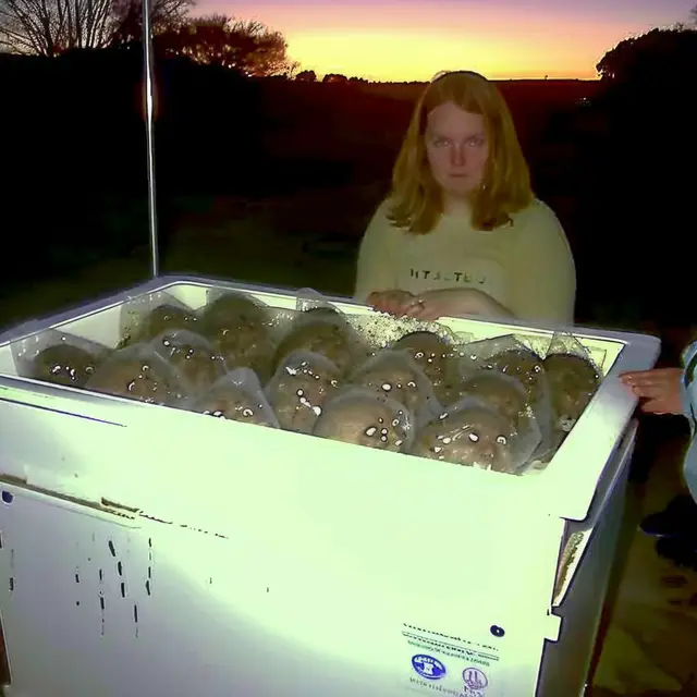 Karen's-Meatballs by Mind Wank