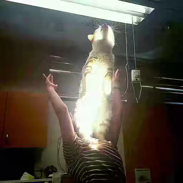 Gettin-Lit by Mind Wank