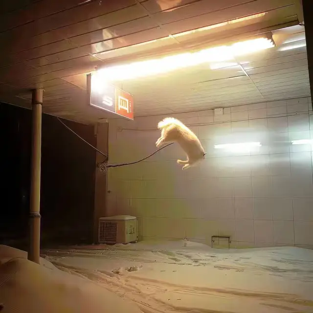 Fluffy-Yeet by Mind Wank