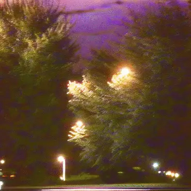 trees are wired by noper