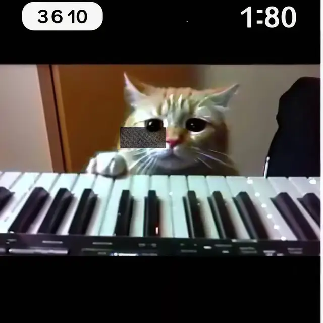 Piano-Cat by Mind Wank