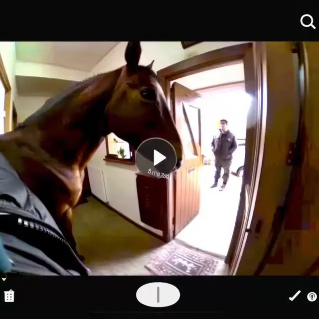 Horse-Play by Mind Wank