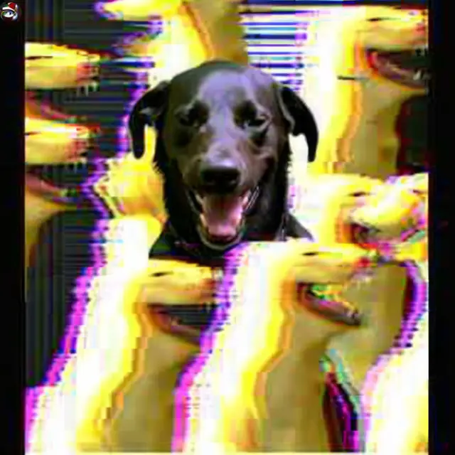 Dog-Dissemination by Mind Wank