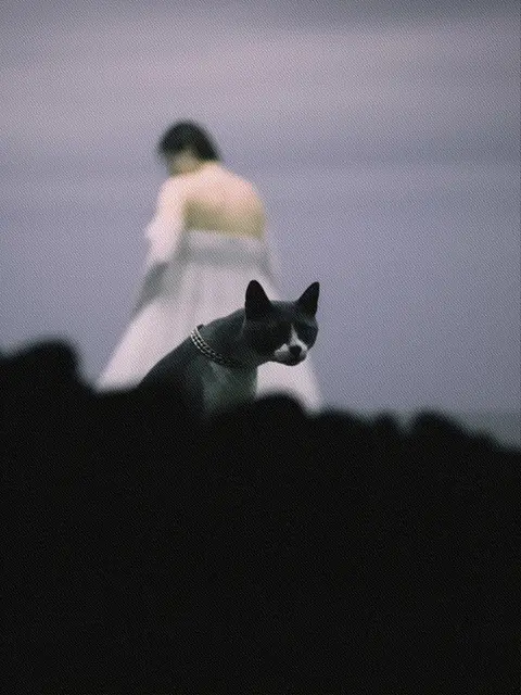 Untitled #35 by Olga Fedorova