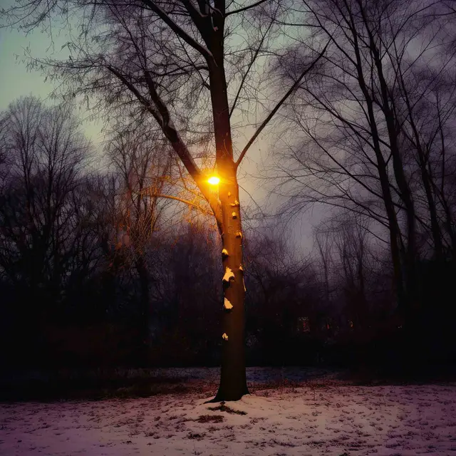 Lamp Tree by Alina Trifan