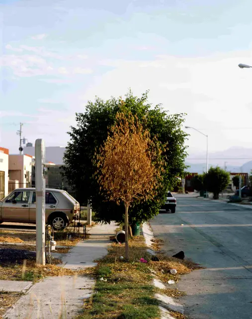 People of Suburbia #13 by Alejandro Cartagena