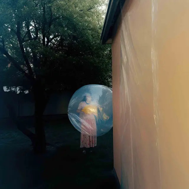 Preparing To Move by Alina Trifan