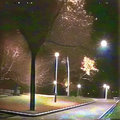the trees in front of me is judging me by noper