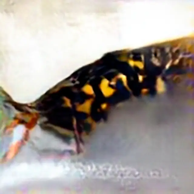 Yellowjacket #5 (Corpus: American Predators) by Trevor Paglen