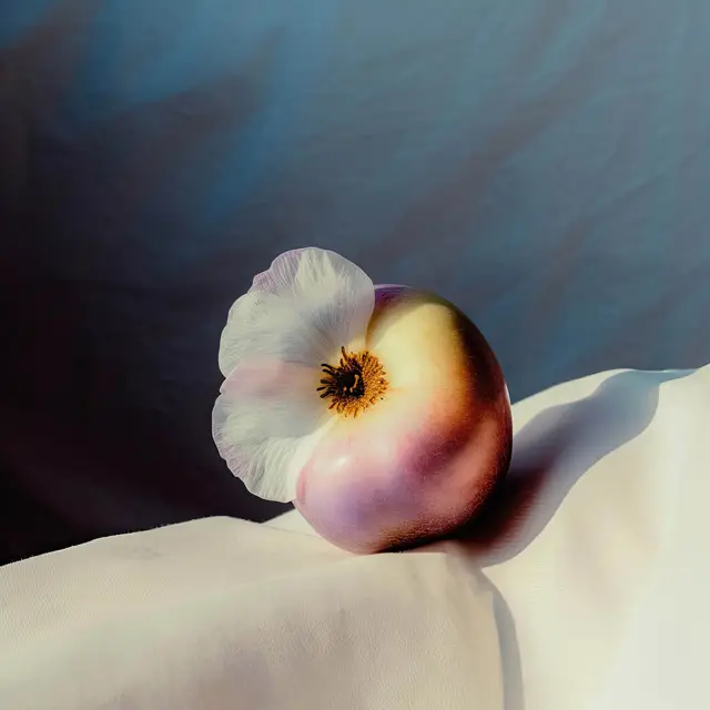 Flowering Fruit by Alina Trifan