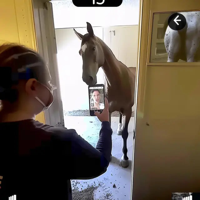 Horse-Selfie by Mind Wank
