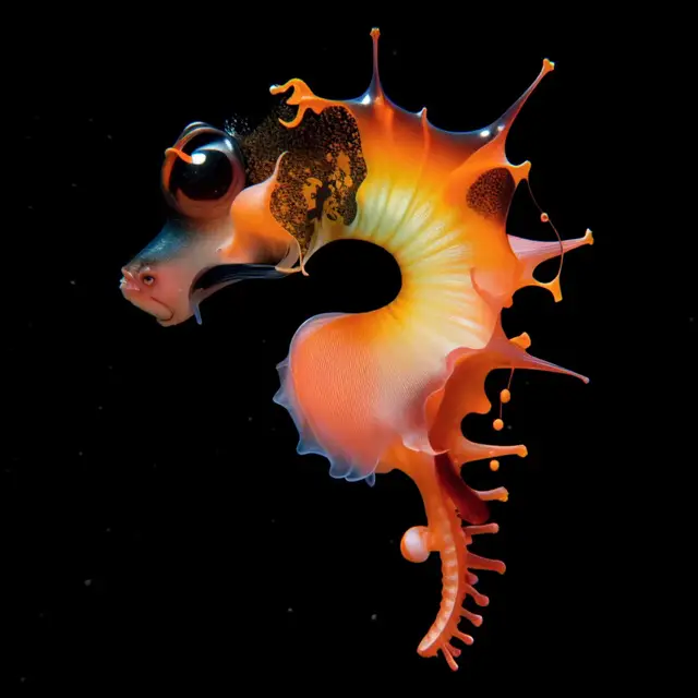 Adorabilis Alaudes by Boldtron