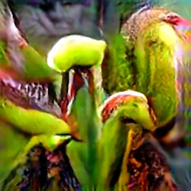 California Cobra Lily #3 (Corpus: American Predators) by Trevor Paglen
