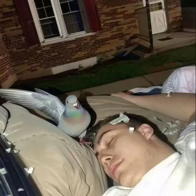 Pigeon-Nights by Mind Wank