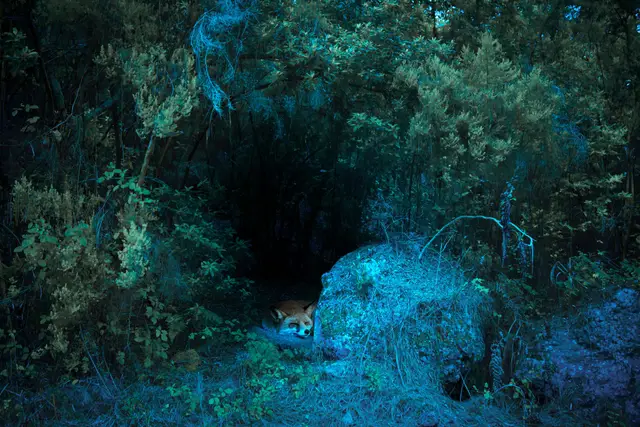 Refugio by Taysa Jorge