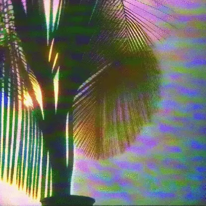 palm shade on stucco by noper