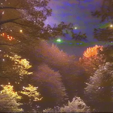 the beauty of what could have been by noper