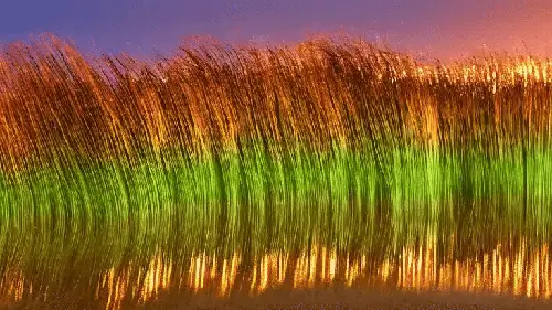 You Can Learn A Lot From a Hair Follicle by noper