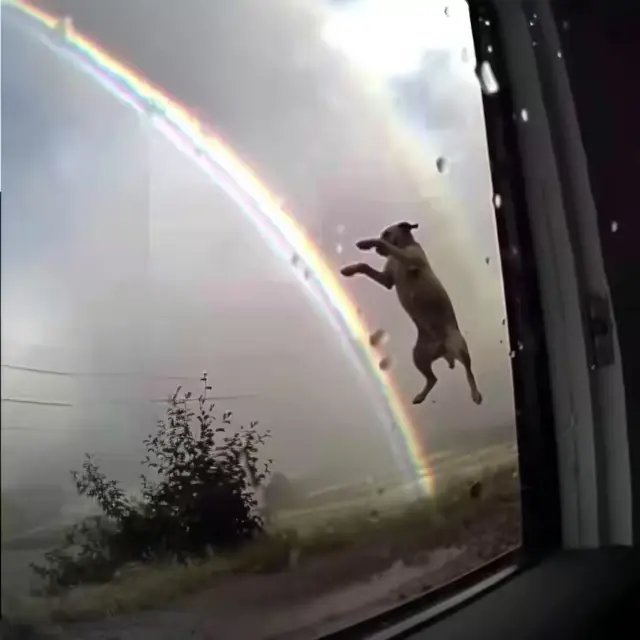 Over-the-Rainbow by Mind Wank