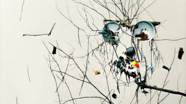 bird watcher by Frank Manzano