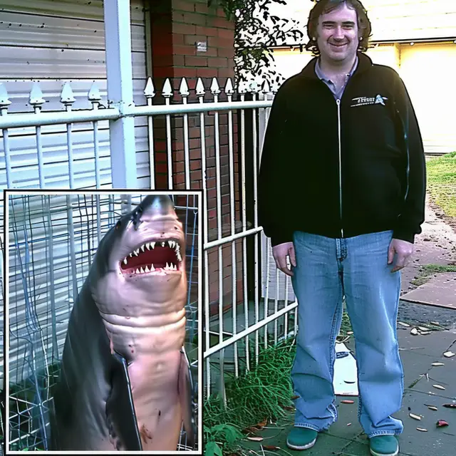 Shark-Profile-Pic by Mind Wank