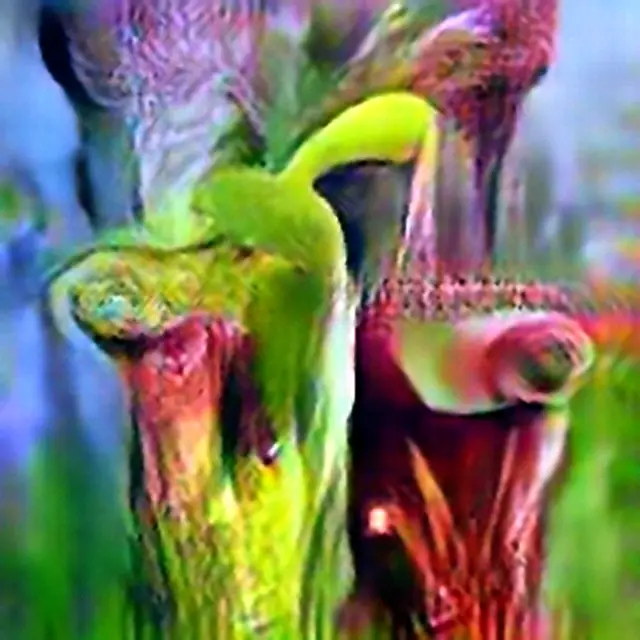 Alabama Canebrake Pitcher Plant #7 (Corpus: American Predators) by Trevor Paglen