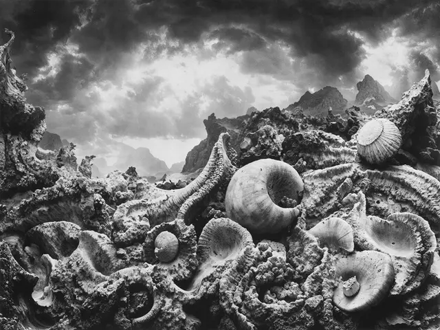 The Dead Valley #035 by Iñigo Bilbao