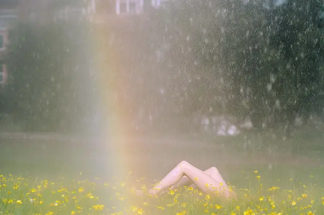 Overture 7 by Synchrodogs