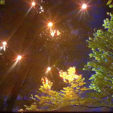 lamp shades swaying above my head by noper