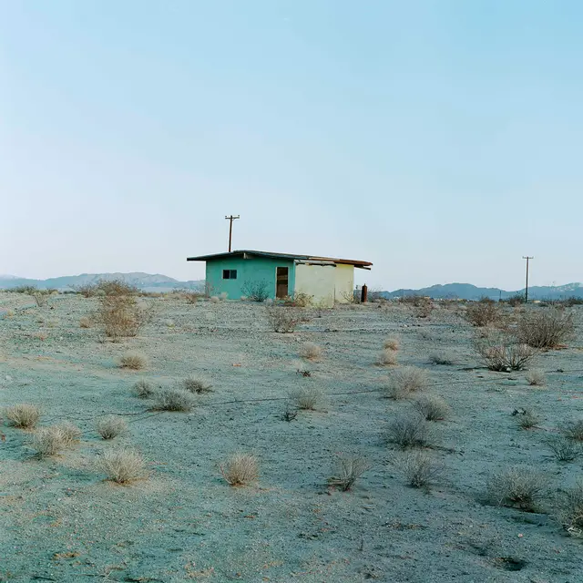 Untitled (Green House - telephone poles) by John Divola