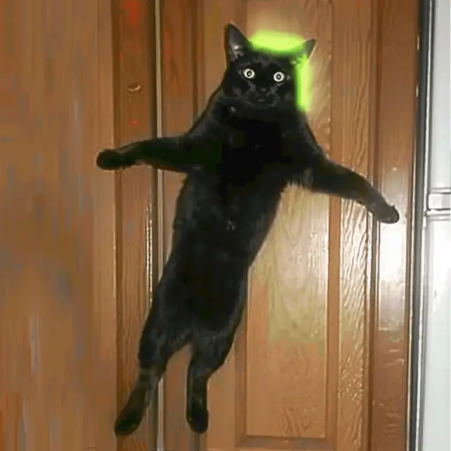 Jumping-Kitty by Mind Wank