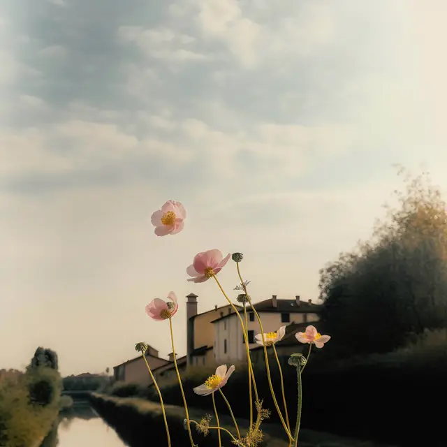 Windflower By The River by Alina Trifan