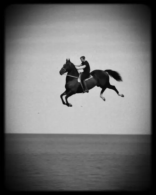 The Aerial Trot by Alsoguppyme
