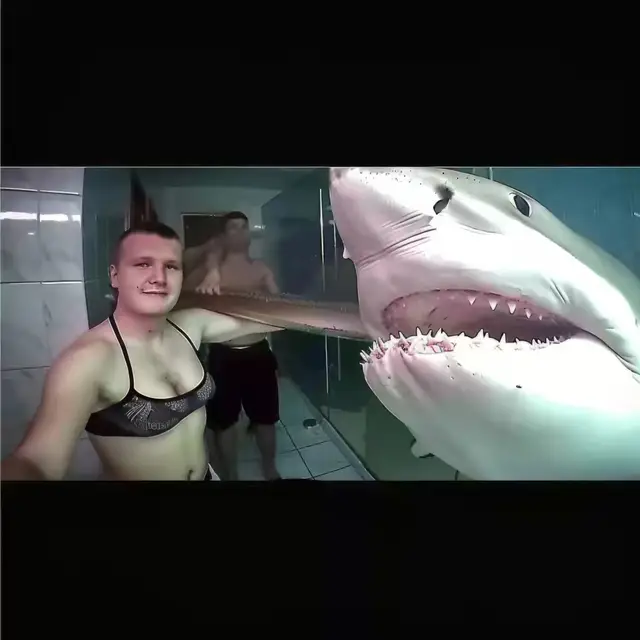 Shark-Pose by Mind Wank