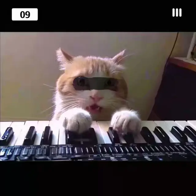 Kitty-Concerto by Mind Wank