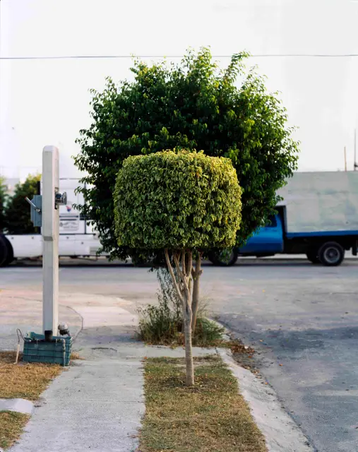 People of Suburbia #14 by Alejandro Cartagena
