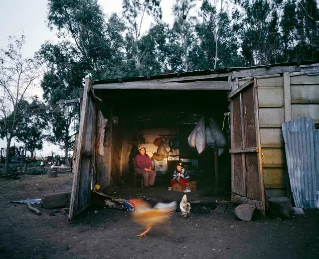 Nightfall by Alessandra Sanguinetti