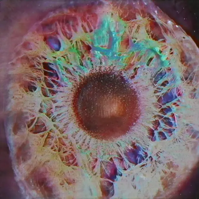 Optic Nerve 04 by Katie Morris