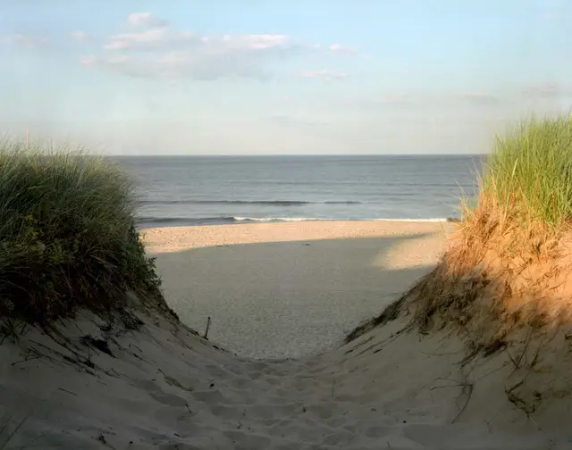 The Hollow, Ballston Beach, Truro, Massachusetts by Joel Meyerowitz