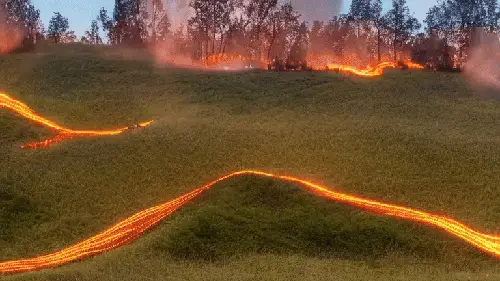 Lighting a Field on Fire by noper