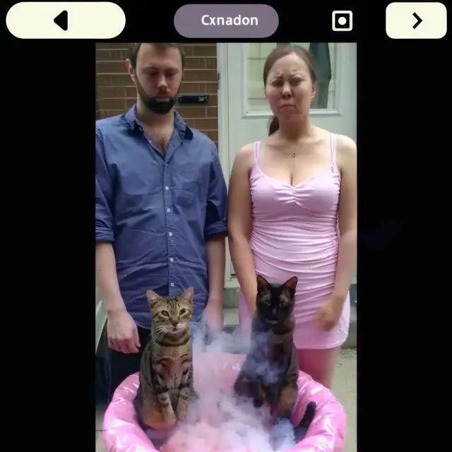 Kitty-Spa by Mind Wank