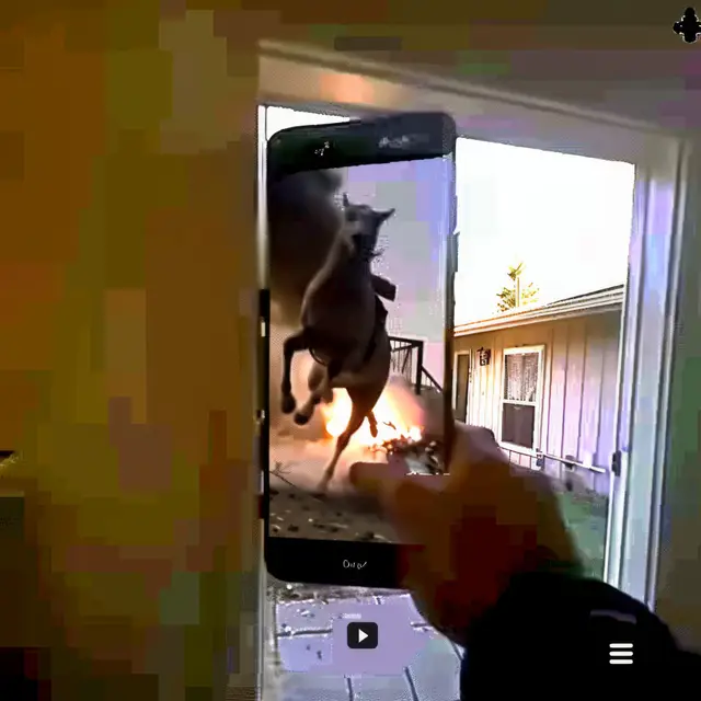 Unbelievable-Footage by Mind Wank