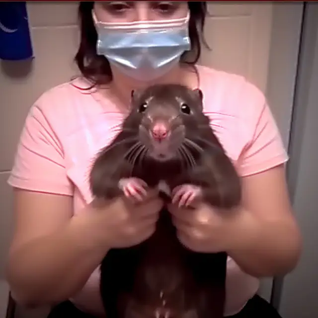 Gopher-Present by Mind Wank