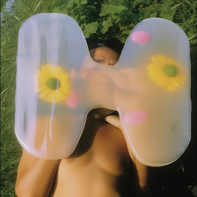 Pressed Flowers II (Frieze Magazine) by Charlie Engman